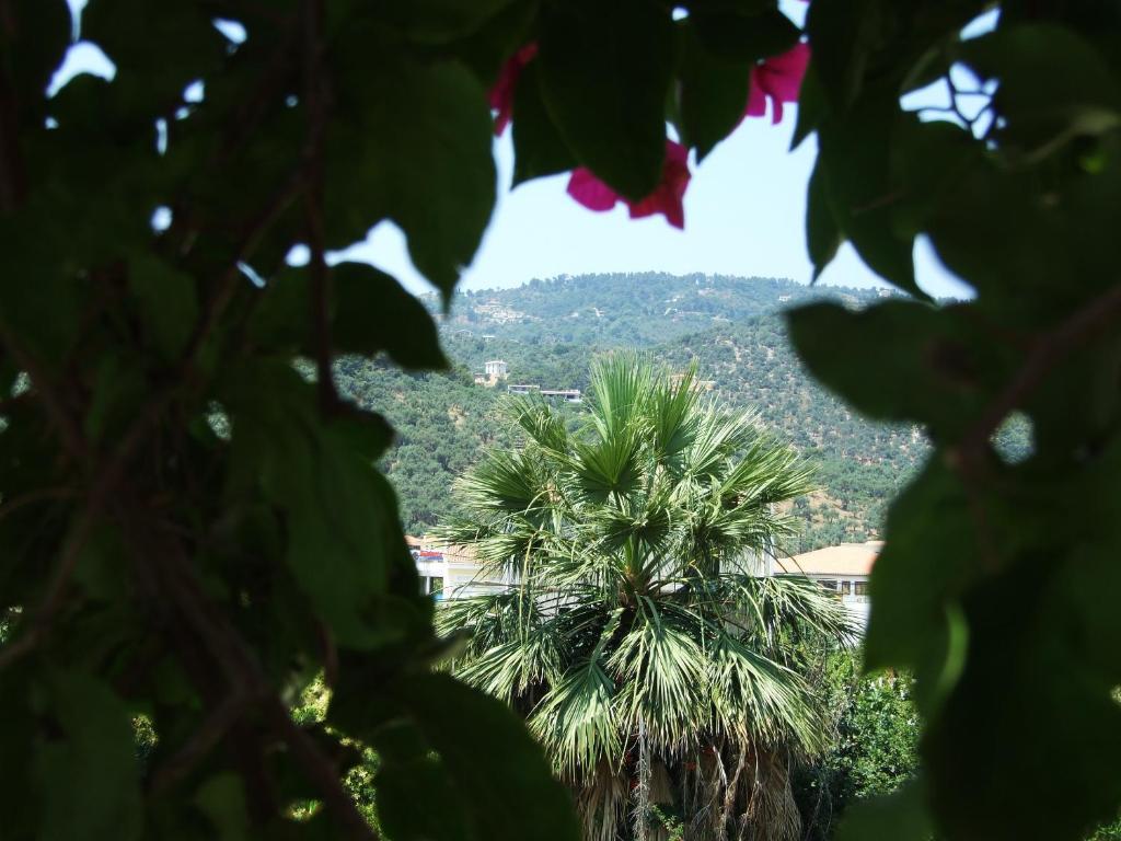 Fotinos House Skiathos Hotel Exterior photo